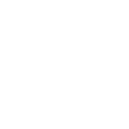 Bundesliga — Allemagne