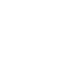 Ligue 1 — France