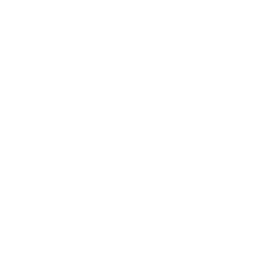 Premier League — Angleterre